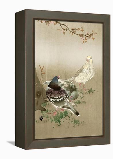 Pigeons under Cherry Tree-Koson Ohara-Framed Premier Image Canvas