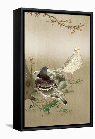 Pigeons under Cherry Tree-Koson Ohara-Framed Premier Image Canvas