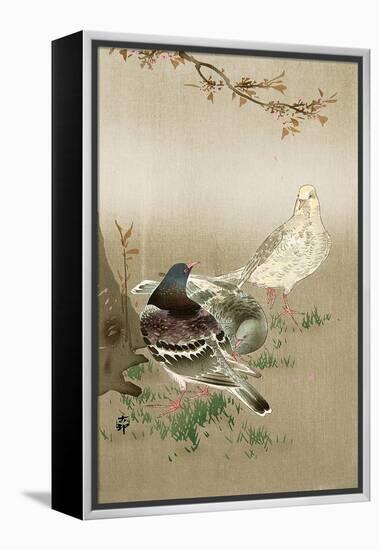 Pigeons under Cherry Tree-Koson Ohara-Framed Premier Image Canvas