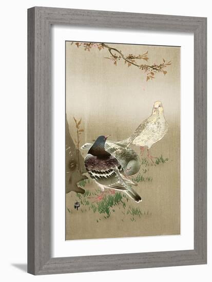 Pigeons under Cherry Tree-Koson Ohara-Framed Giclee Print