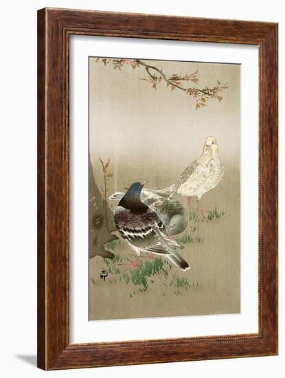 Pigeons under Cherry Tree-Koson Ohara-Framed Giclee Print