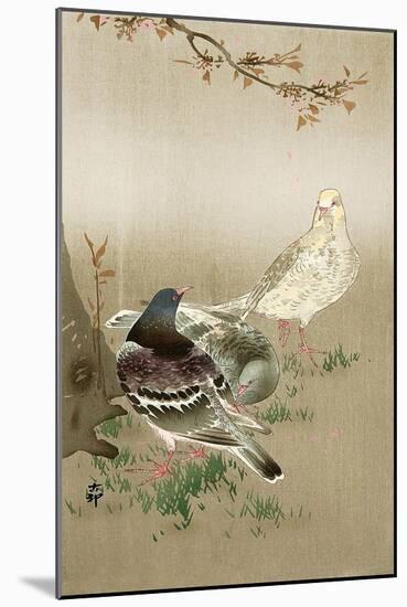 Pigeons under Cherry Tree-Koson Ohara-Mounted Giclee Print