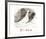 Pigeons-Pablo Picasso-Framed Collectable Print