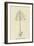 Piggiwiggia Pyramidalis-Edward Lear-Framed Giclee Print