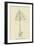 Piggiwiggia Pyramidalis-Edward Lear-Framed Giclee Print