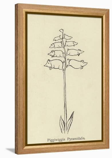 Piggiwiggia Pyramidalis-Edward Lear-Framed Premier Image Canvas