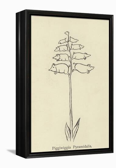 Piggiwiggia Pyramidalis-Edward Lear-Framed Premier Image Canvas