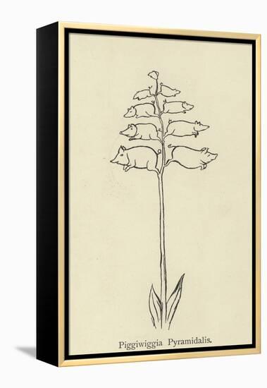 Piggiwiggia Pyramidalis-Edward Lear-Framed Premier Image Canvas