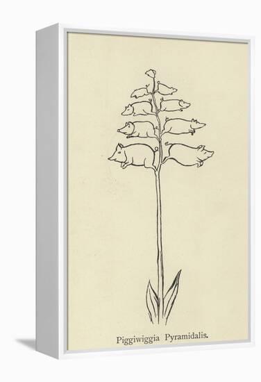 Piggiwiggia Pyramidalis-Edward Lear-Framed Premier Image Canvas