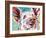 Piggy I-Carolee Vitaletti-Framed Art Print