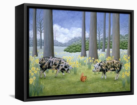 Piggy in the Middle-Ditz-Framed Premier Image Canvas