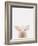 Piglet 1-Leah Straatsma-Framed Art Print