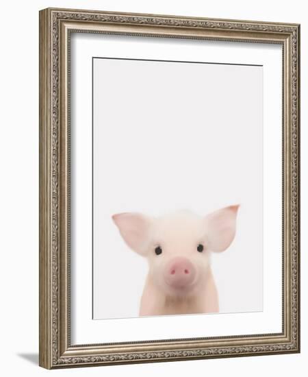 Piglet 1-Leah Straatsma-Framed Art Print