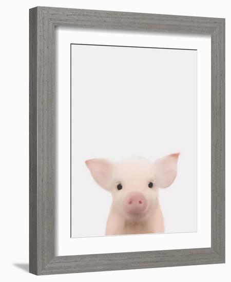 Piglet 1-Leah Straatsma-Framed Art Print