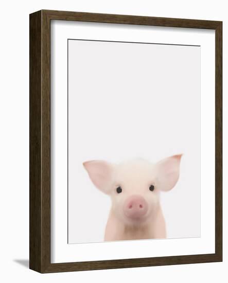 Piglet 1-Leah Straatsma-Framed Art Print