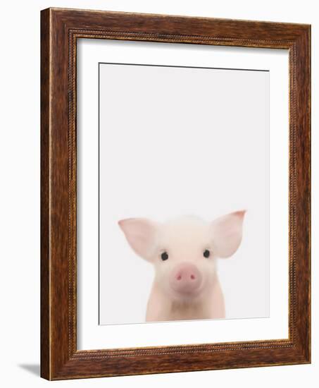 Piglet 1-Leah Straatsma-Framed Art Print