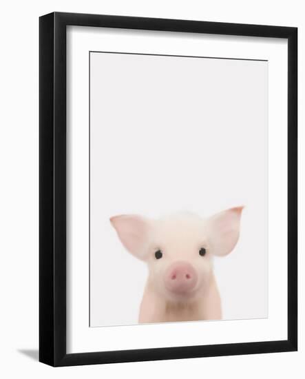 Piglet 1-Leah Straatsma-Framed Art Print