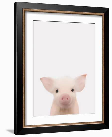 Piglet 1-Leah Straatsma-Framed Art Print