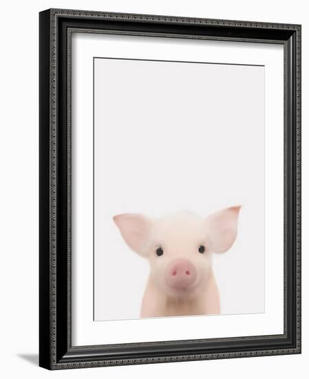 Piglet 1-Leah Straatsma-Framed Art Print