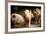 Piglet, Hertfordshire, England, United Kingdom, Europe-John Alexander-Framed Photographic Print