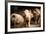 Piglet, Hertfordshire, England, United Kingdom, Europe-John Alexander-Framed Photographic Print