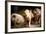 Piglet, Hertfordshire, England, United Kingdom, Europe-John Alexander-Framed Photographic Print