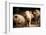 Piglet, Hertfordshire, England, United Kingdom, Europe-John Alexander-Framed Photographic Print