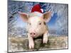 Piglet Looking over Fence Wearing Christmas-null-Mounted Photographic Print