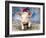 Piglet Looking over Fence Wearing Christmas-null-Framed Photographic Print