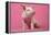 Piglet Sitting on Pink Spotty Blanket-null-Framed Premier Image Canvas