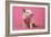 Piglet Sitting on Pink Spotty Blanket-null-Framed Photographic Print