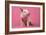 Piglet Sitting on Pink Spotty Blanket-null-Framed Photographic Print