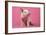 Piglet Sitting on Pink Spotty Blanket-null-Framed Photographic Print