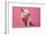 Piglet Sitting on Pink Spotty Blanket-null-Framed Photographic Print