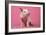 Piglet Sitting on Pink Spotty Blanket-null-Framed Photographic Print