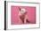 Piglet Sitting on Pink Spotty Blanket-null-Framed Photographic Print