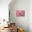 Piglet Sitting on Pink Spotty Blanket-null-Mounted Photographic Print displayed on a wall