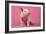 Piglet Sitting on Pink Spotty Blanket-null-Framed Photographic Print