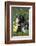 Piglet-null-Framed Photographic Print