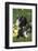 Piglet-null-Framed Photographic Print