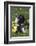 Piglet-null-Framed Photographic Print