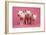 Piglets Standing in a Row on Pink Spotty Blanket-null-Framed Photographic Print