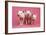 Piglets Standing in a Row on Pink Spotty Blanket-null-Framed Photographic Print