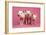 Piglets Standing in a Row on Pink Spotty Blanket-null-Framed Photographic Print