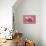 Piglets Standing in a Row on Pink Spotty Blanket-null-Mounted Photographic Print displayed on a wall