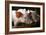 Piglets-Bjorn Svensson-Framed Photographic Print