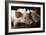 Piglets-Bjorn Svensson-Framed Photographic Print