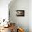 Piglets-Bjorn Svensson-Mounted Photographic Print displayed on a wall