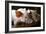 Piglets-Bjorn Svensson-Framed Photographic Print