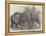 Pigmy Elephants, at the Surrey Zoological Gardens-Harrison William Weir-Framed Premier Image Canvas